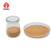 Folic Acid