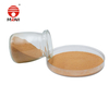 Folic Acid