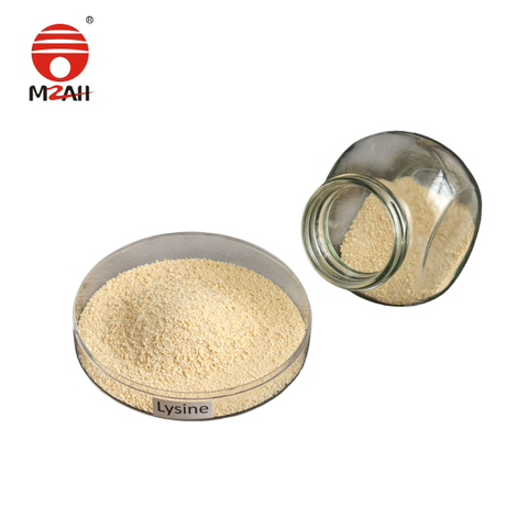 Lysine