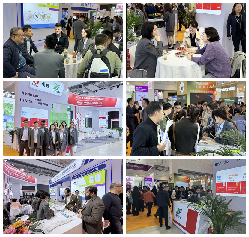 2025 Exhibition.jpg